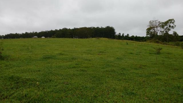 Otima fazenda com 73 alqueires na regiao de itapetininga - Foto 6