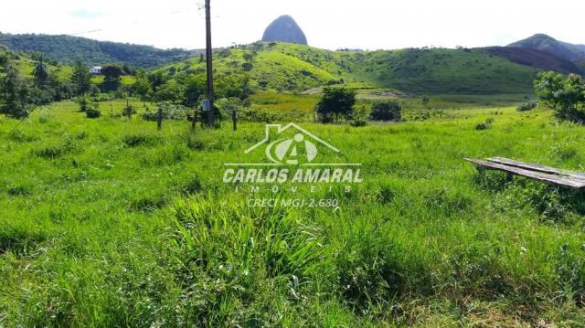 Fazenda à venda, , zona rural - carlos chagas/mg - Foto 7