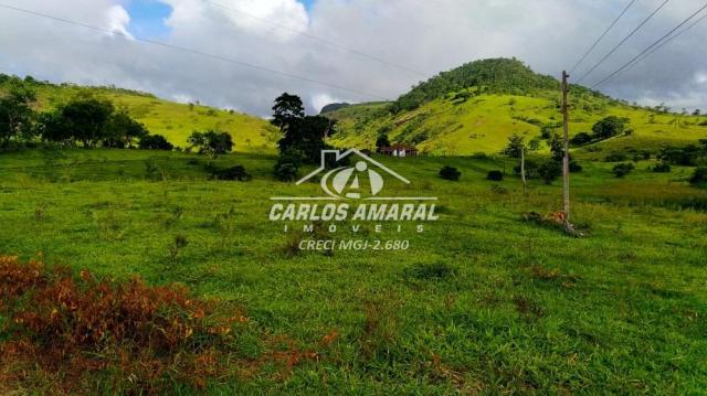 Fazenda à venda, , zona rural - carlos chagas/mg - Foto 15