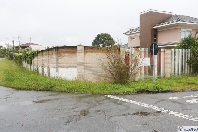 Terreno à venda em Bigorrilho, Curitiba cod:50354.001 - Foto 19