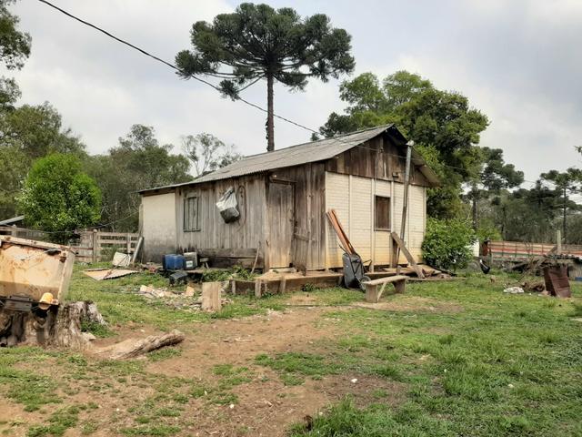 Fazenda de 100 Alqueires. 70 de capoeira - 16 km da Colônia Vitória. Guarapuava PR - Foto 9