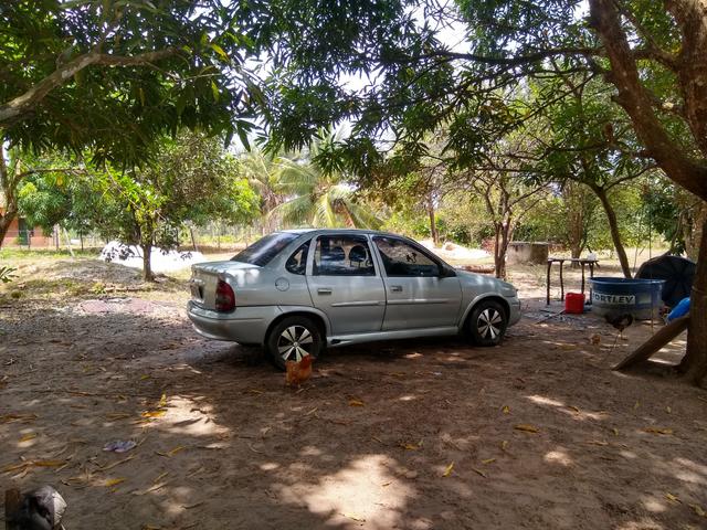Venda