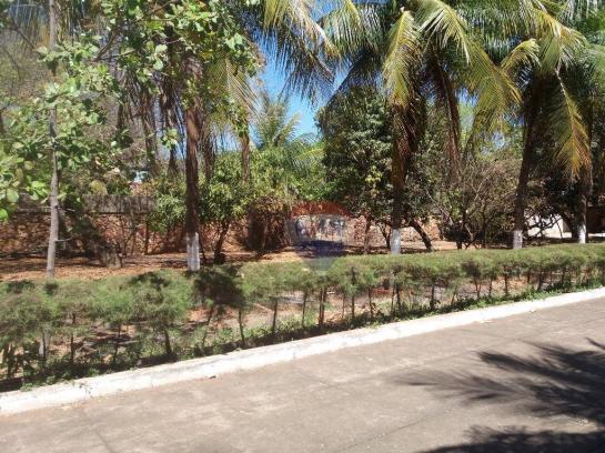 Terreno para locação em avenida padre cícero - Foto 4