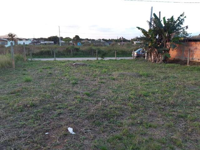 Terreno em picarras