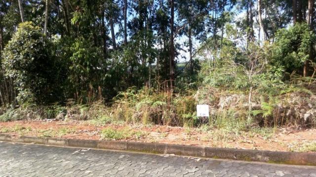 Lote com 1905m² no condomínio villagio verdi em domingos martins - Foto 7