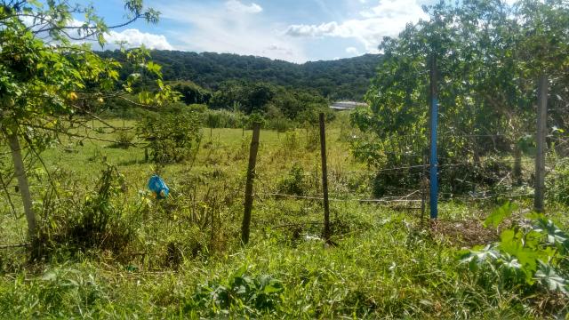 Lote Sucupira Riacho fundo 1 aceito troca e financio - Foto 6