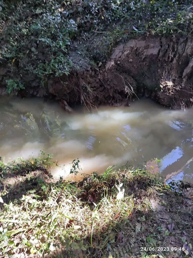 Chácara de 2 alqueires a 12 km da cidade - Foto 5