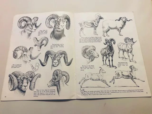 Coleção de 4 Revistas de Como Desenhar e Pintar usadas, em inglês Ver Desc - Foto 4