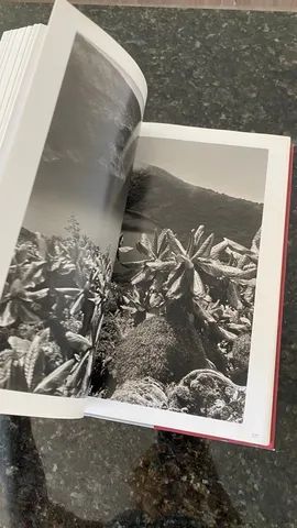 Livro GÊNESIS - assinado Sebastião Salgado - Foto 5