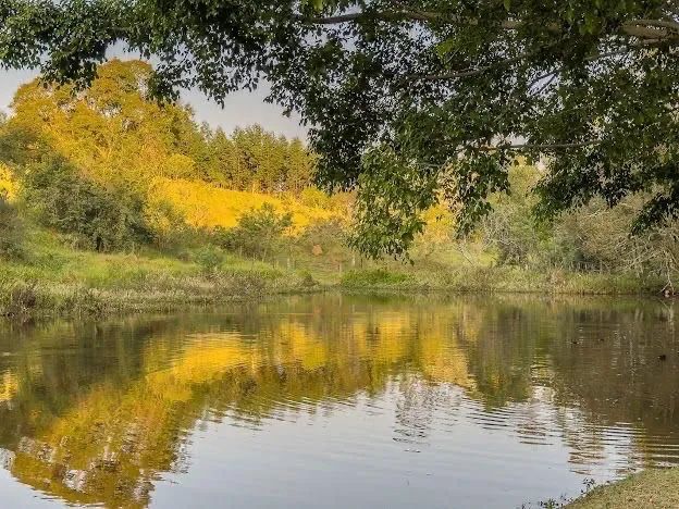 Temporada na natureza - Chacara com lago - Foto 9