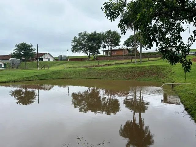 Chacara com dois aviários em pleno funcionamento com capacidade de expansão. - Foto 5