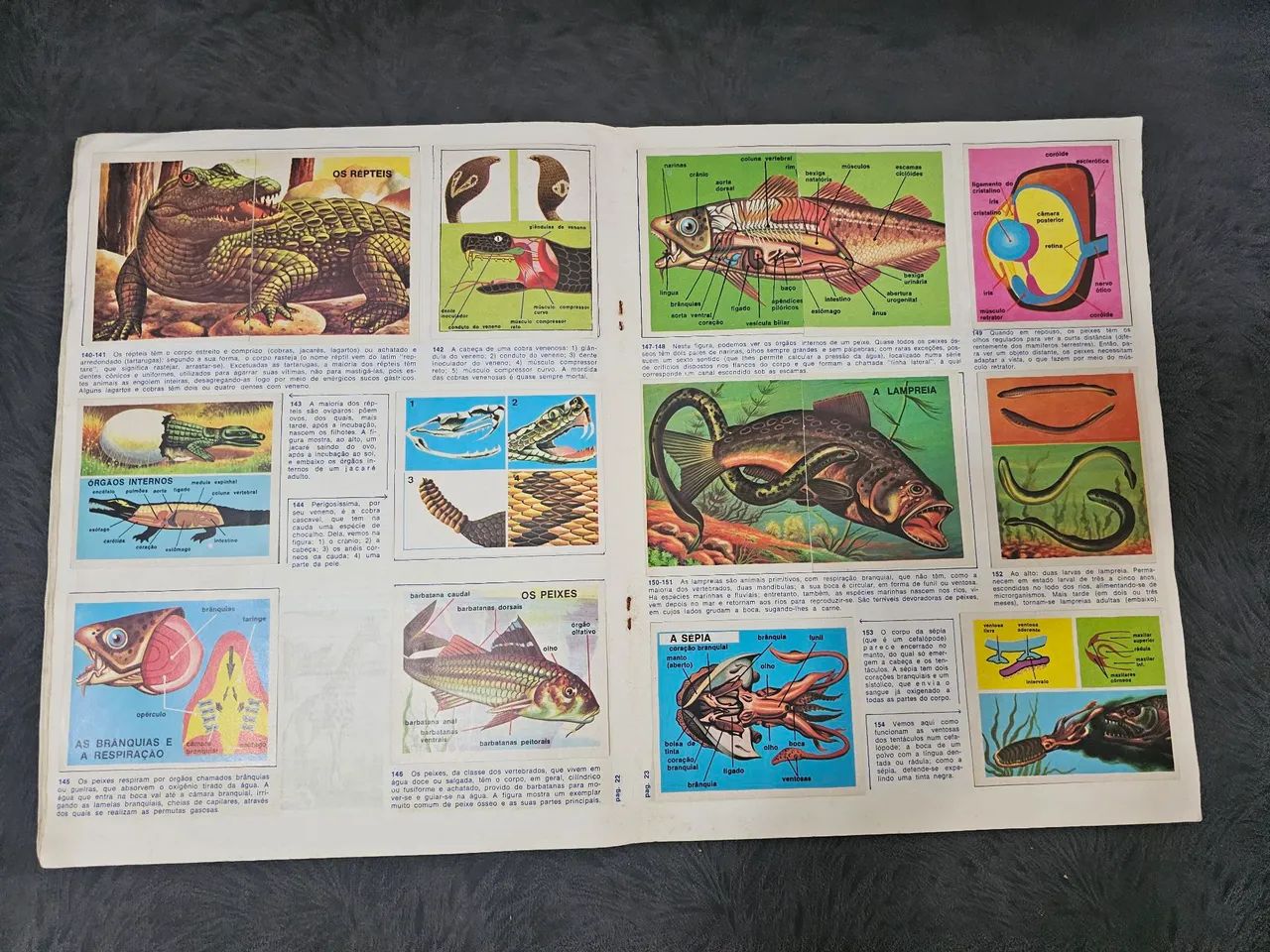 Álbum figurinhas ciências editora vecchi 1976 completo - Foto 5