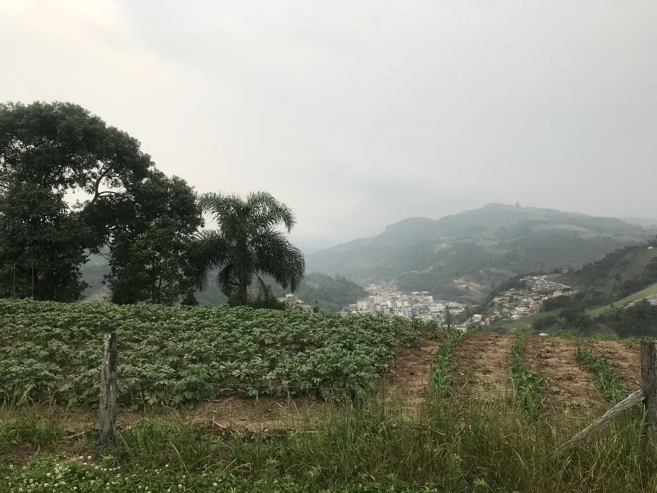 Terreno com ótima localização em Alfredo Wagner. - Foto 4