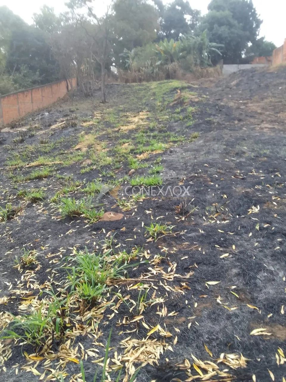 terreno - Cidade Satélite Íris - Campinas - Foto 4