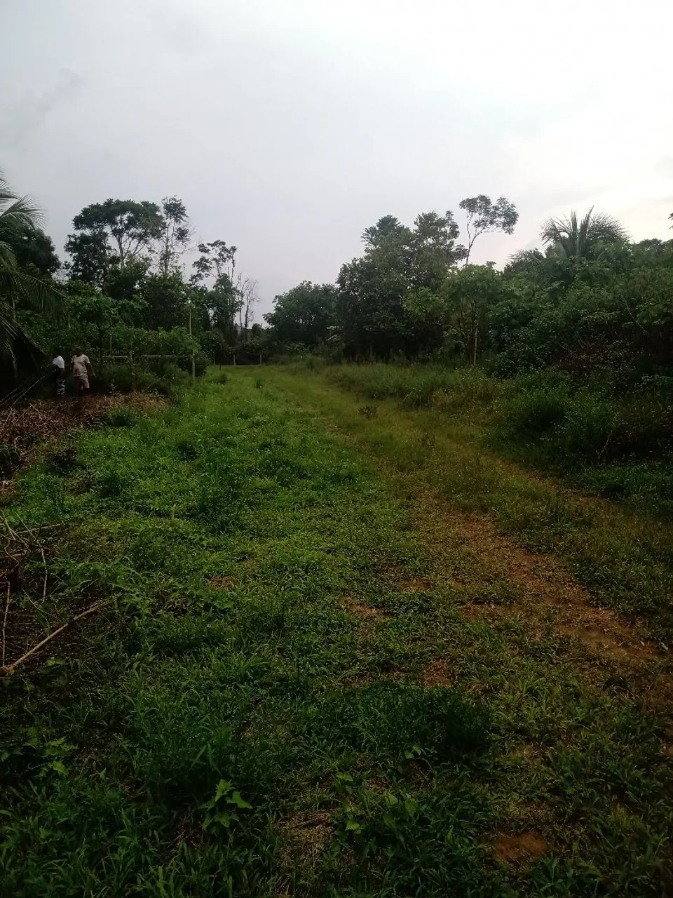 Lote 25x40 Iranduba km 26
