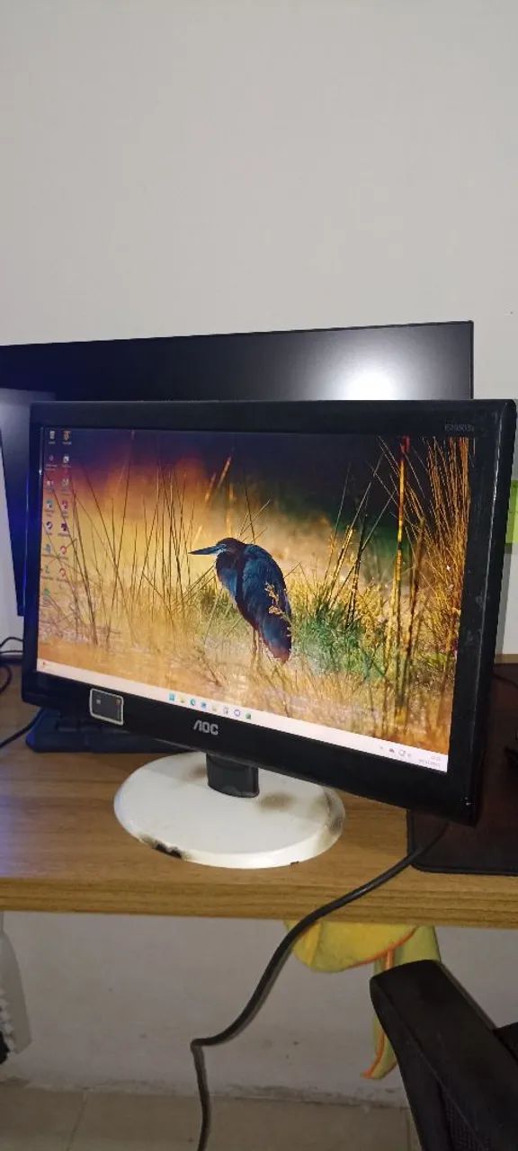 AOC 21-inch Monitor64296995236355120