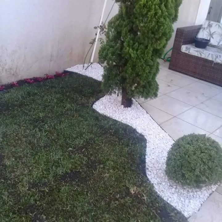 Decoração de jardins  paisagismo plantas jardinagem  - Foto 6