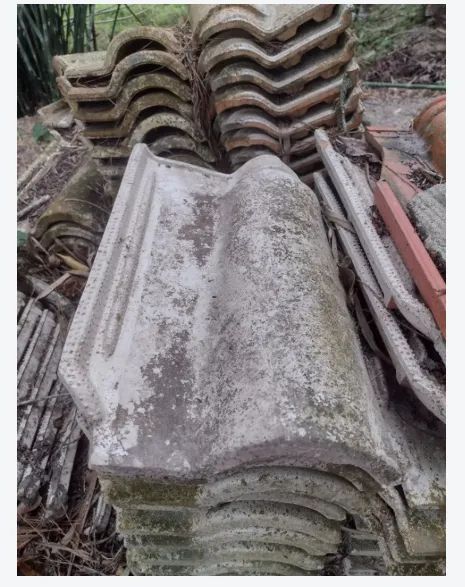 doa-se 120 Telhas (tipo romana) - Foto 3