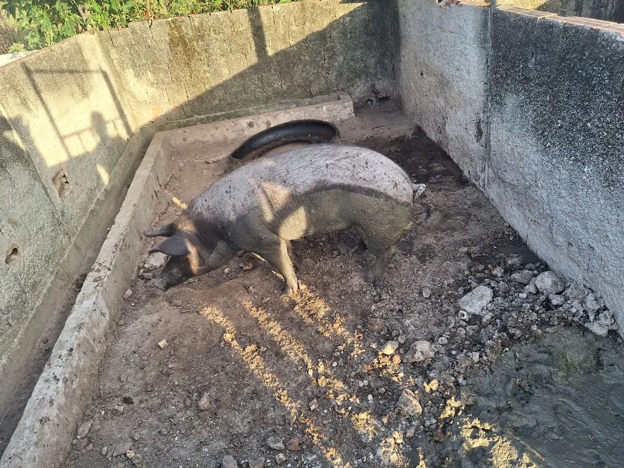 Vende-se um barráo  - Foto 3