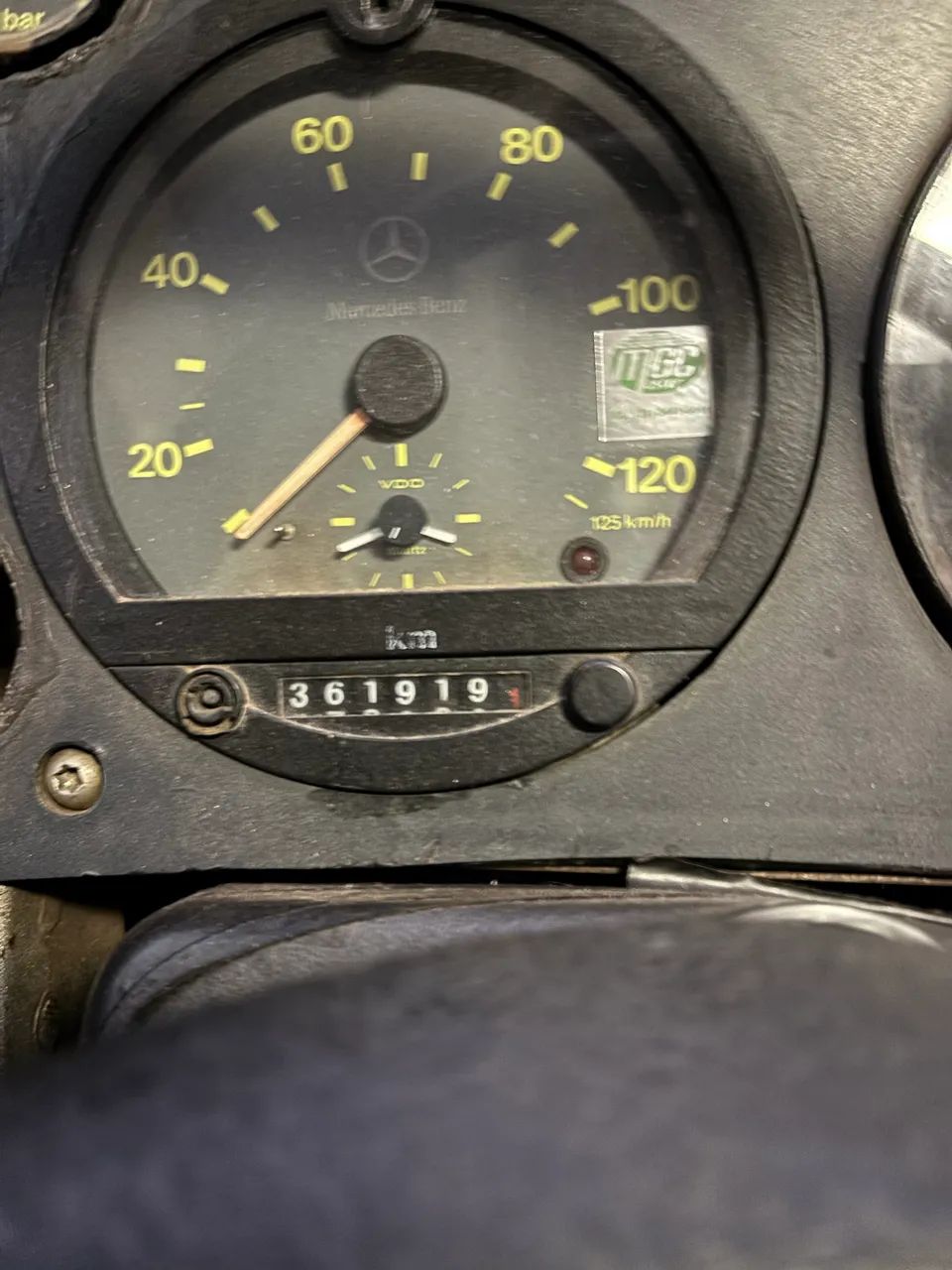 Macopolo senio  - Foto 3