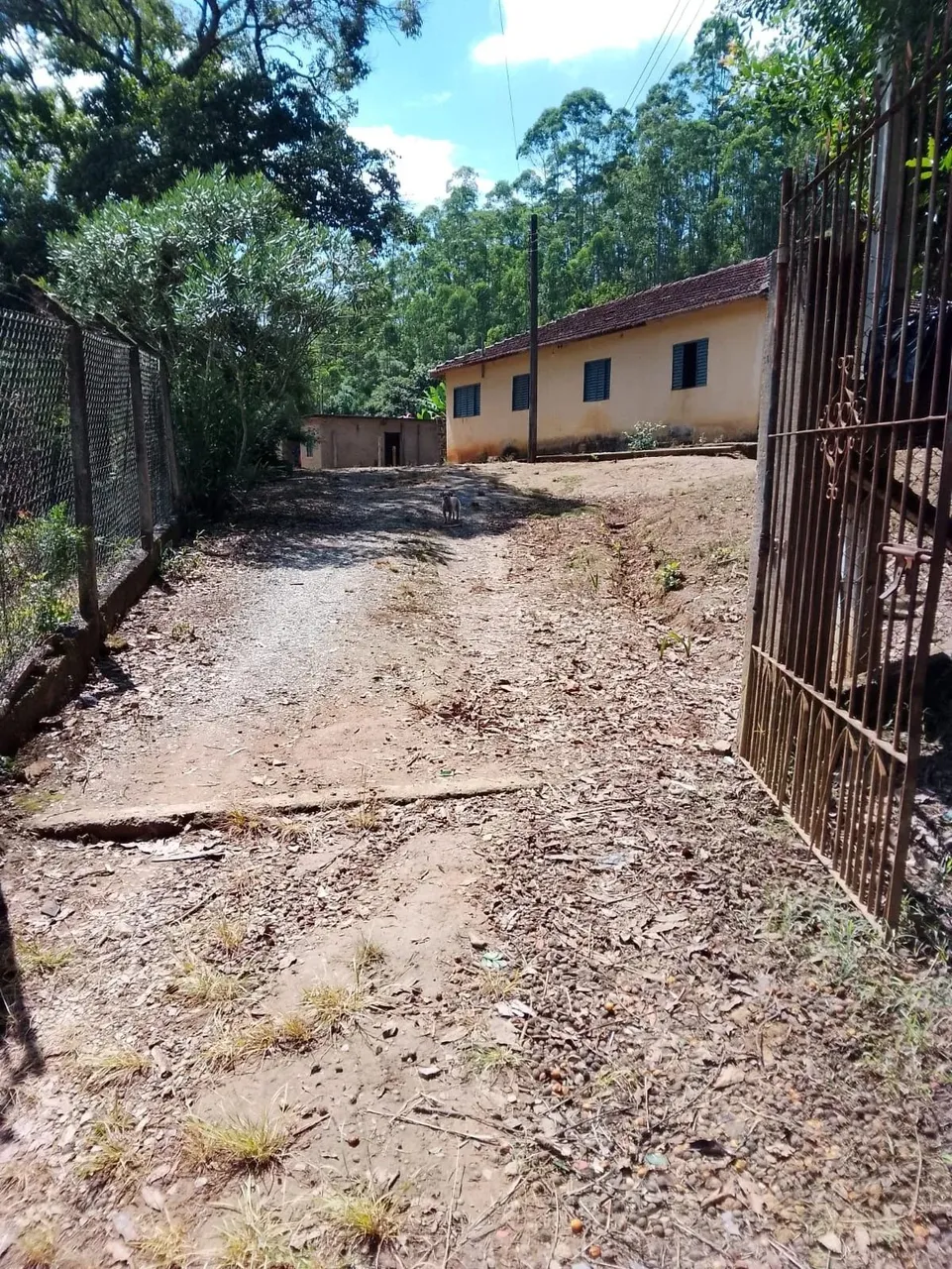 OPORTUNIDADE DE NEGÓCIO FAZENDA A VENDA SITUADA EM GUAPIARA-SP ?? Área Total 53 Alqueires