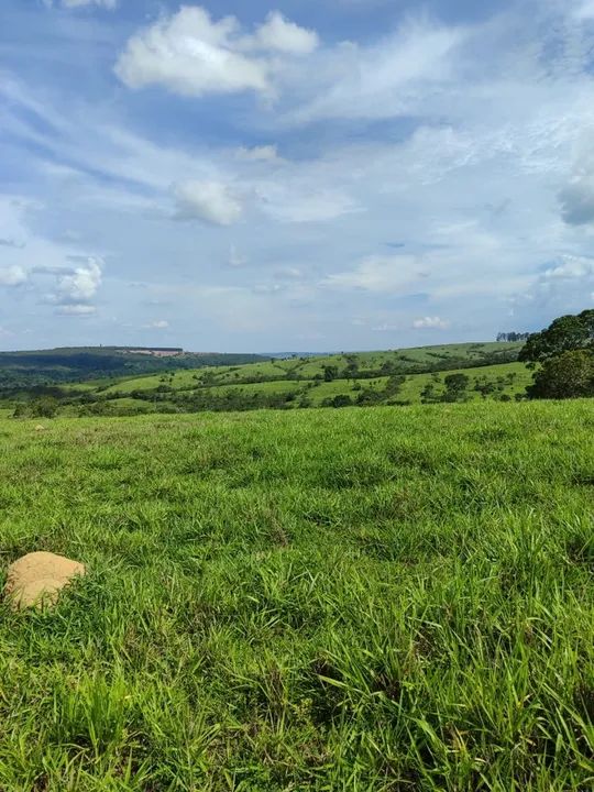 Fazenda de 79 alqueires em Corumba-Go 