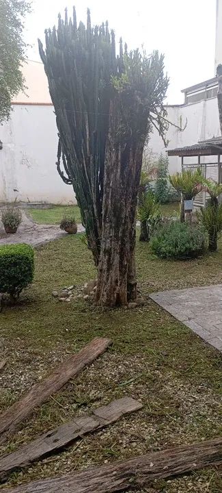 Jardineiro bairro Abranches  - Foto 2