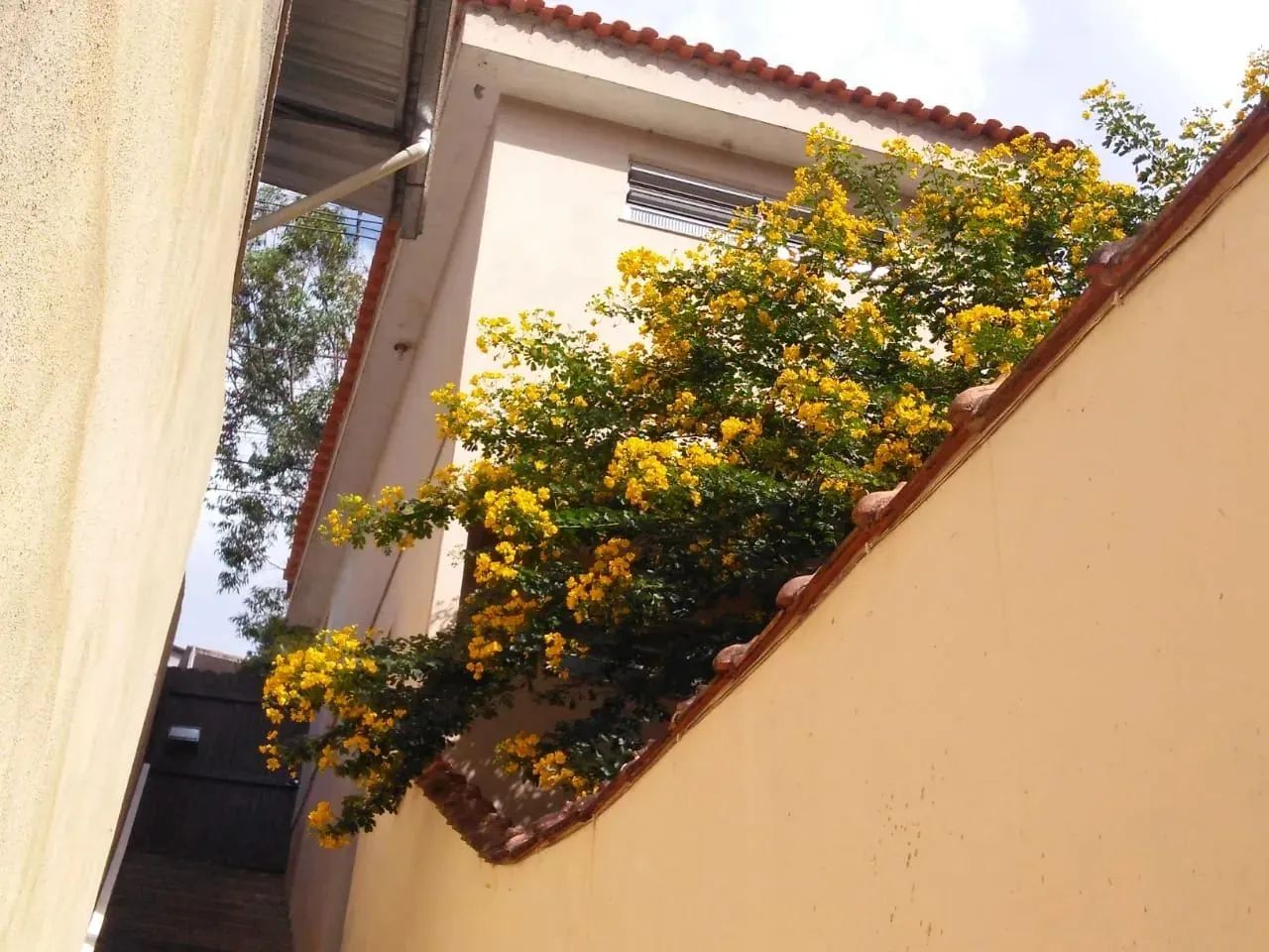 Casa com 03 quartos na Estrada do Girassol - Nova Friburgo - RJ - Foto 3