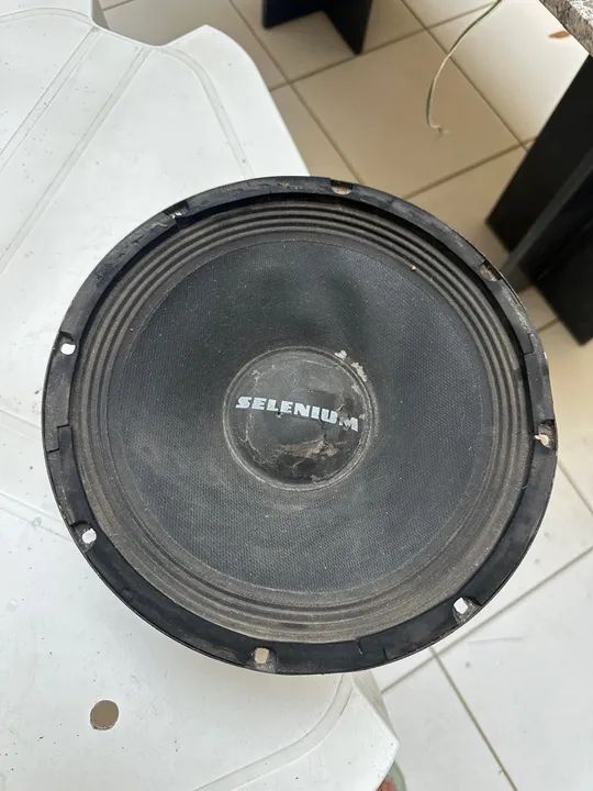 2 Woofer Selenium 10pw3 - Foto 2