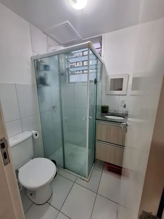 foto - São José dos Campos - Palmeiras de São José