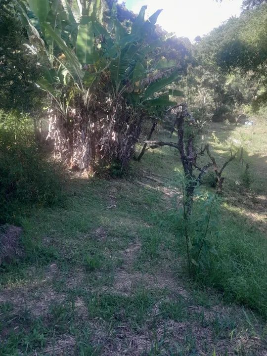 Otimo terreno em nova friburgo 1500 metros - Foto 4
