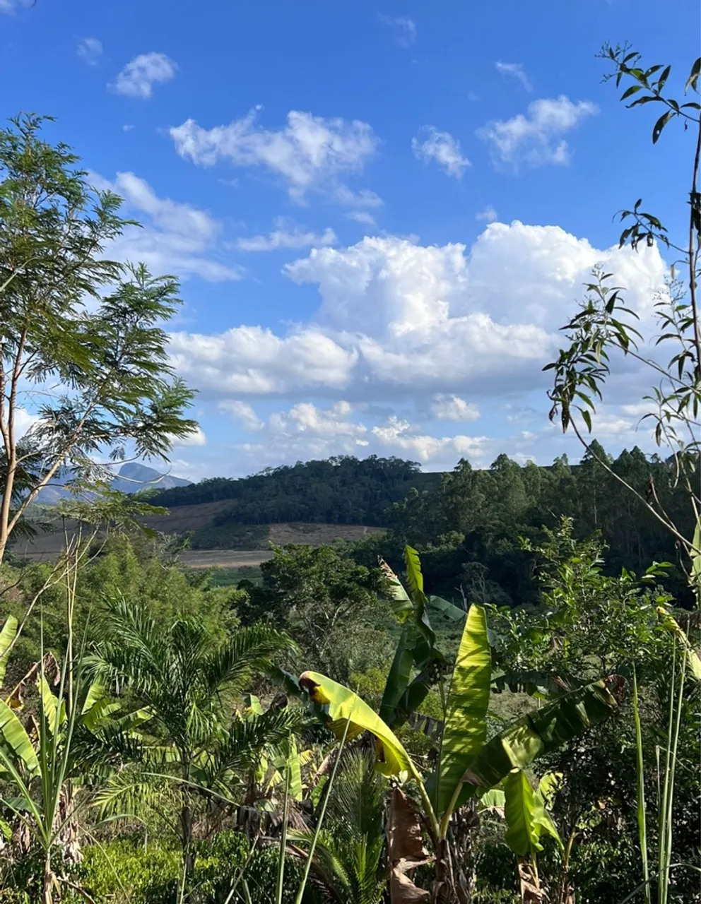 Terreno em Aracruz