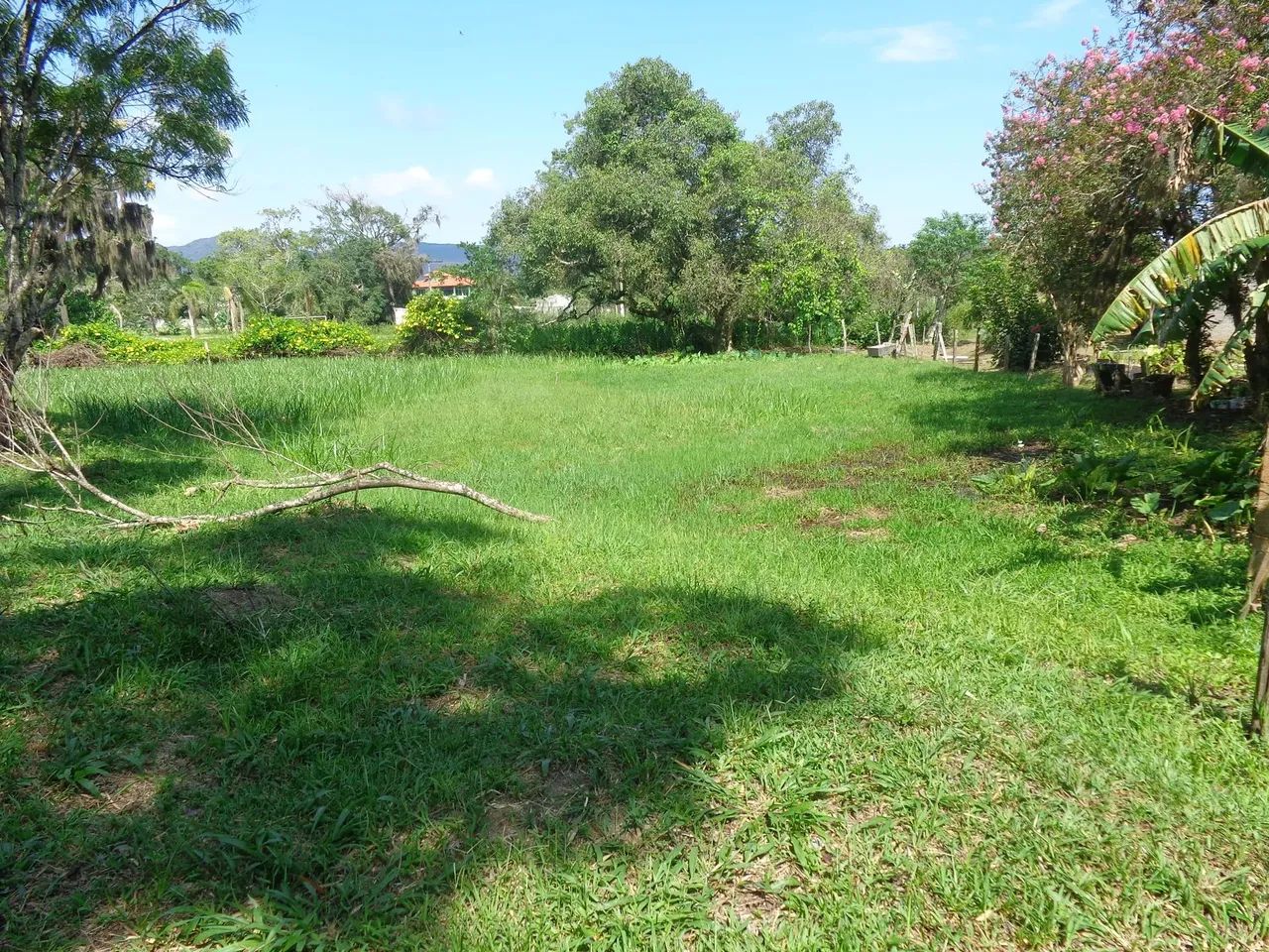 Imóvel para venda com 109000 metros quadrados em Ratones - Florianópolis - SC - Foto 4