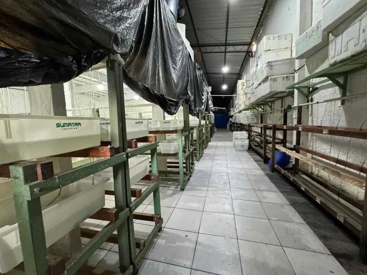 Vendo excelente galpão no Tapanã - Foto 3