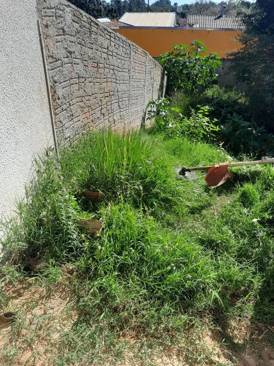 Faço serviços de jardim - Foto 3