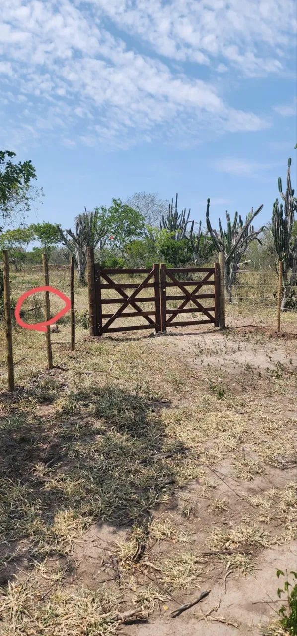 Mais de 02 tarefas de terra