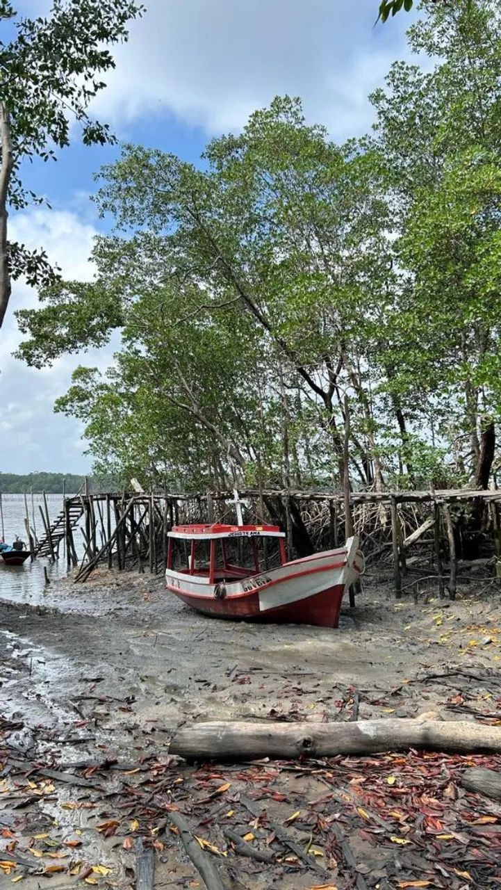 Barco para passeio e pescaria 