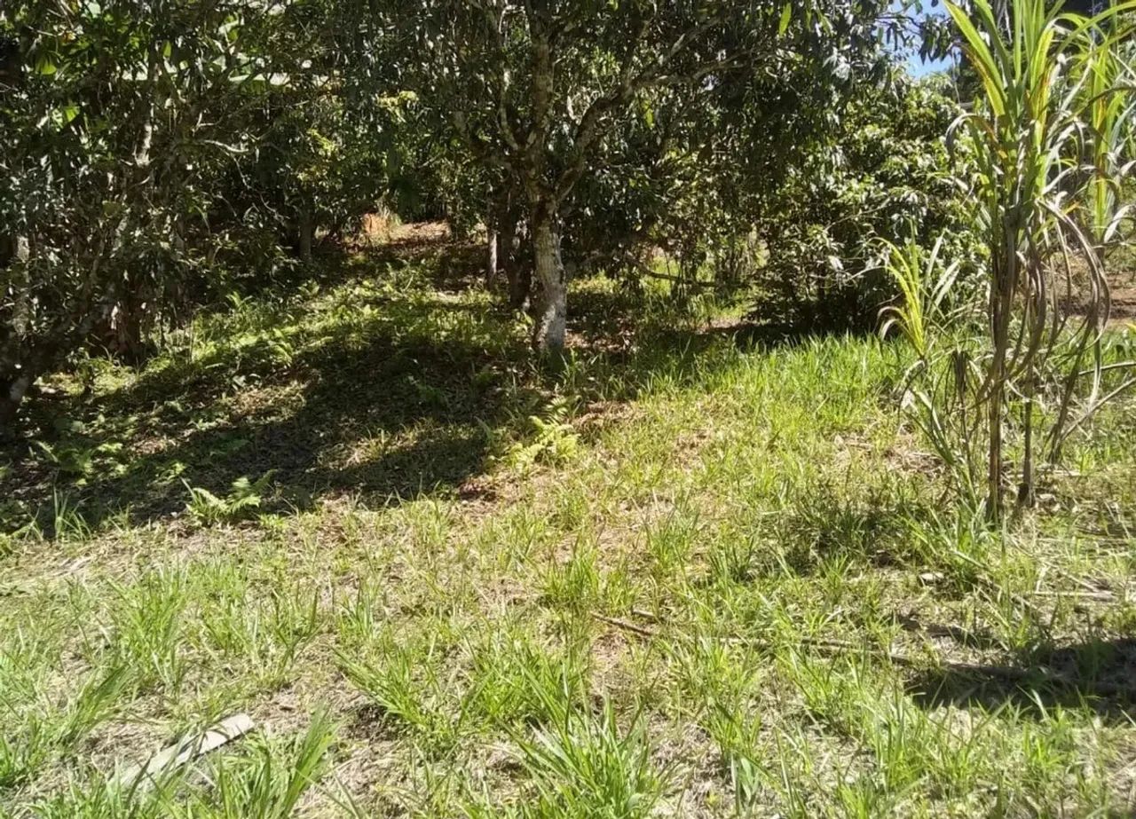 Ótima oportunidade de compra - PARCELADA  - Foto 4