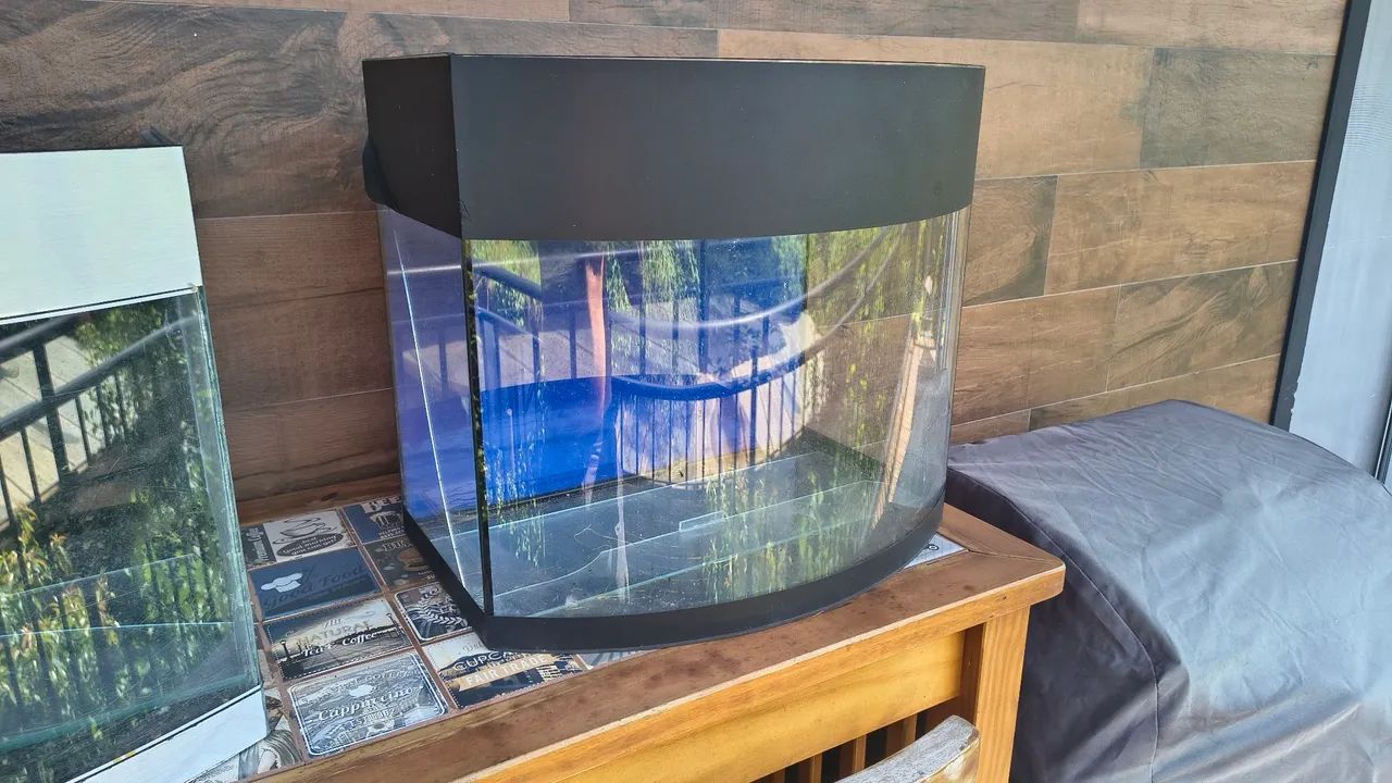 Aquários + acessórios