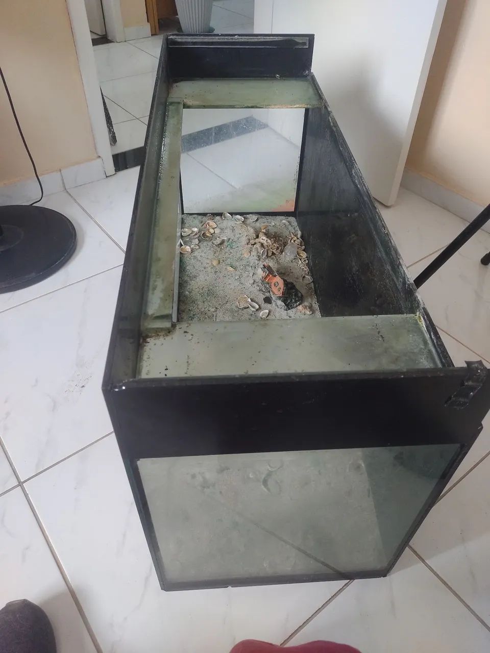 Aguário grande  - Foto 2