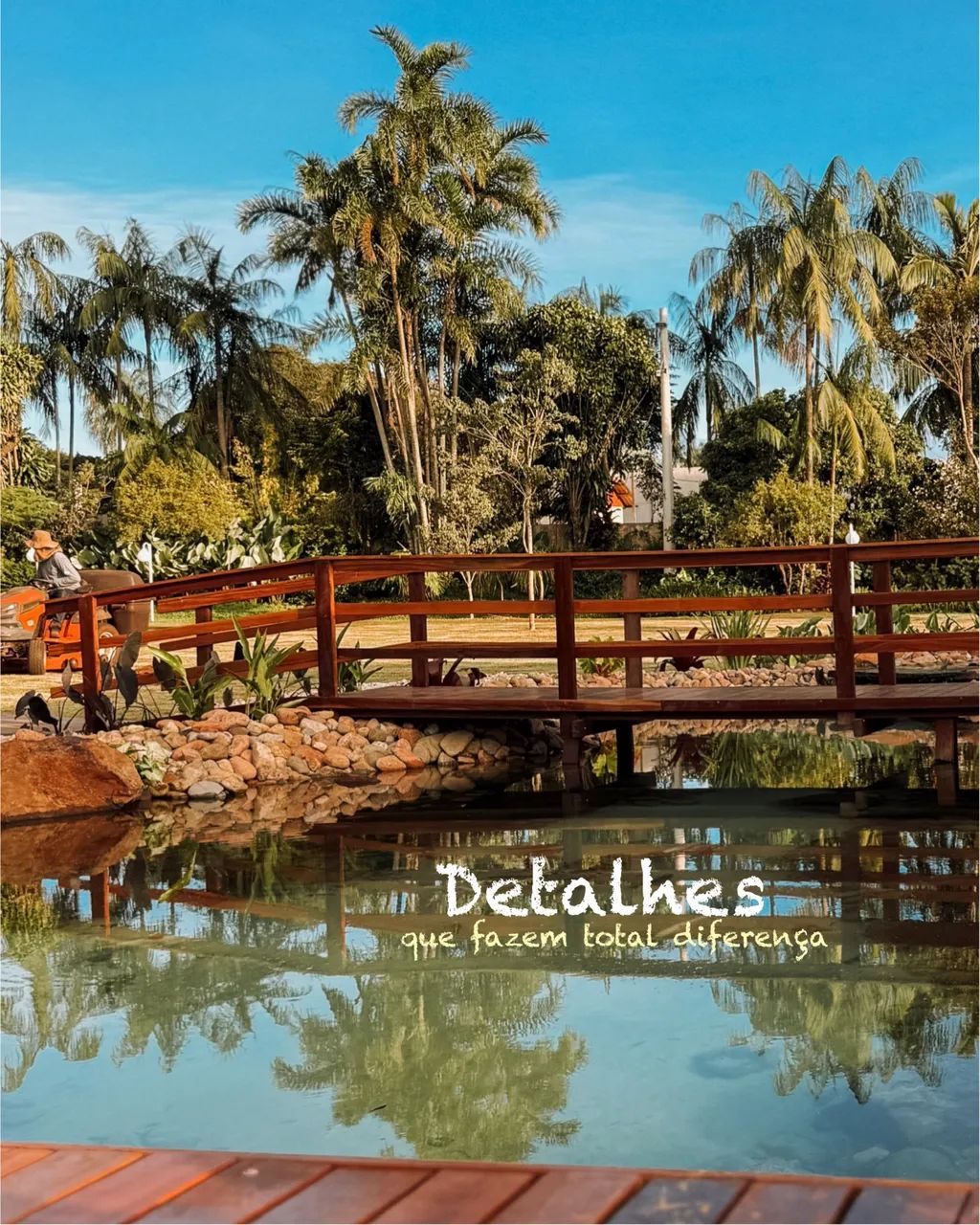 Lagos ornamentais e piscinas naturais 