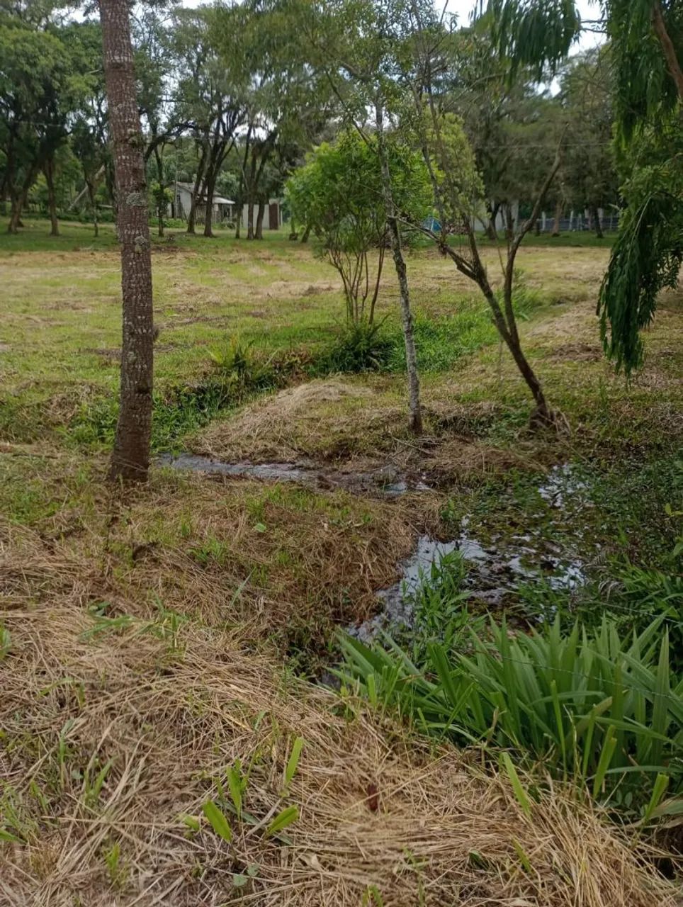 Foto - São José dos Pinhais - Cruzeiro