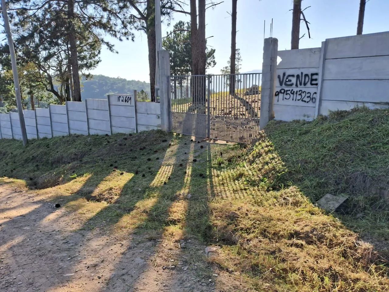 Foto - Atibaia - Vitória Régia