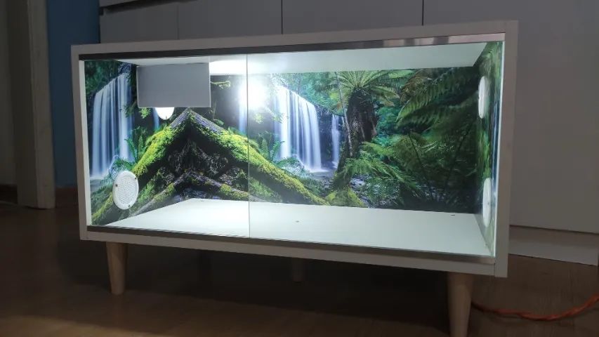 Terrários - Foto 2