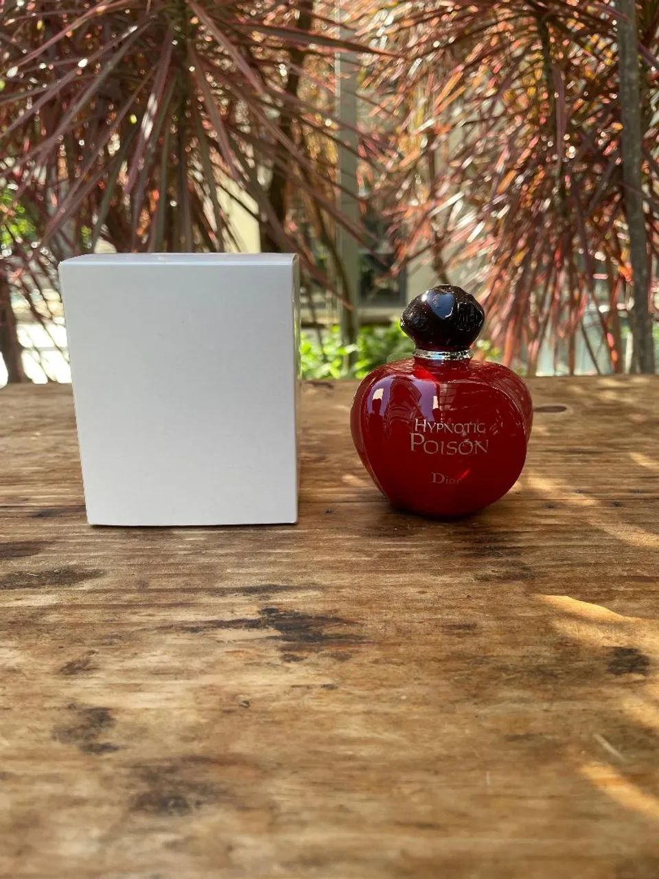 Perfume Dior Hypnotic Poison 100ml tst