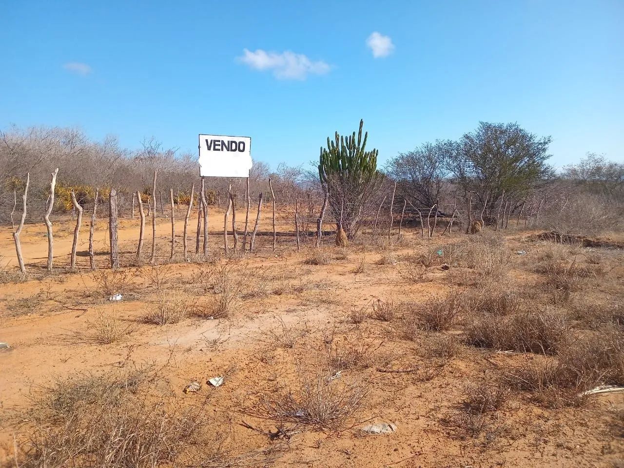  VENDO TERRA OPORTUNIDADE  - Foto 3