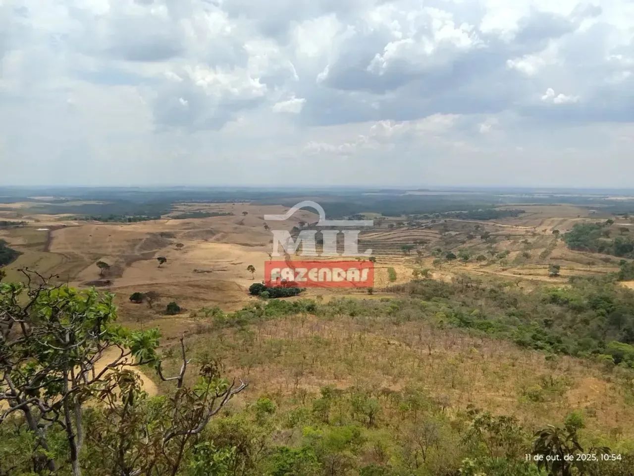 Fazenda 468 alqueires (2.265 hectares) Palmas - TO