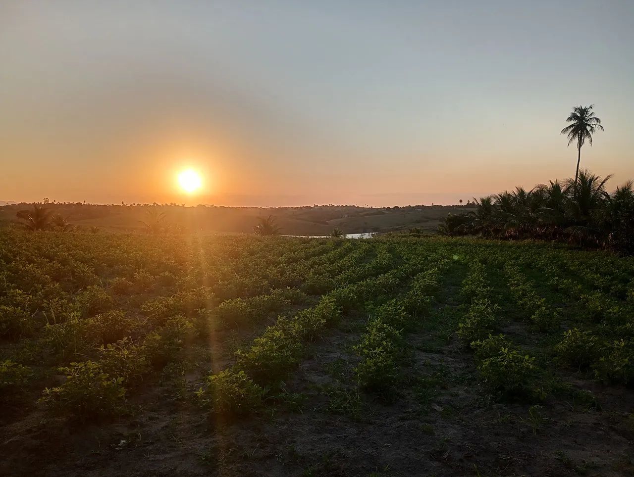 Chácara em Sobrado - Foto 2