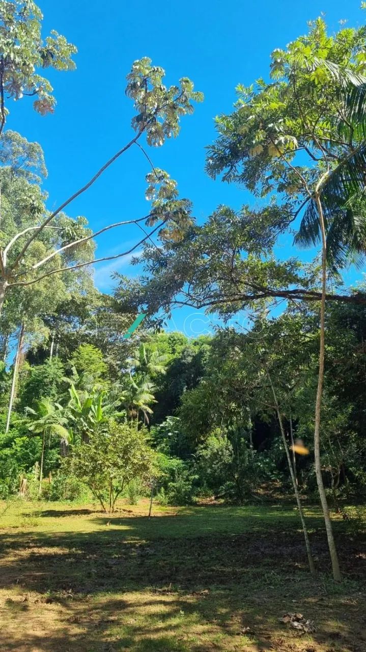 chácara - Prados - Itapira - Foto 4