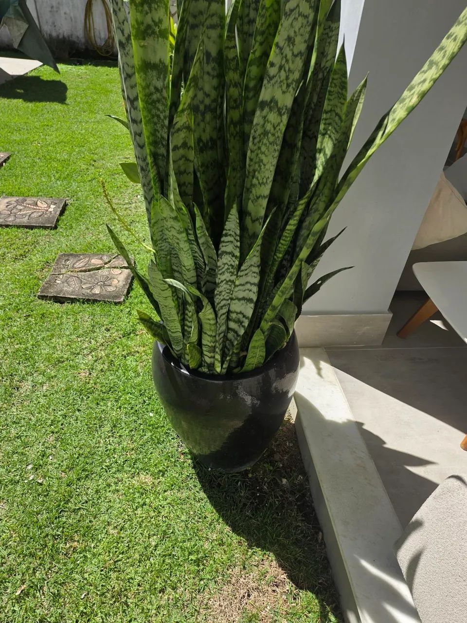 Vasos de planta - Foto 2